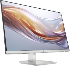 HP 94C19E9 23.8 inç 100Hz 5ms (HDMI + VGA) Asansör FHD IPS Monitör