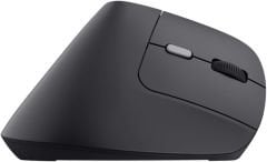 Trust TM-270 Ergonomik Kablosuz Mouse - Siyah