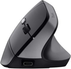 Trust TM-270 Ergonomik Kablosuz Mouse - Siyah