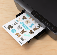 Cricut Yazdırılabilir Suya Dayanıklı Transparan Holografik Çıkartma Seti - A4 - 5 Sayfa 2010354