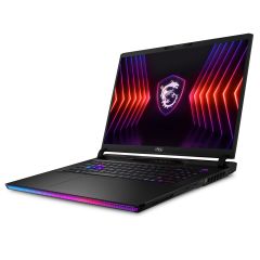 MSI RAIDER GE78 HX 14VIG-657TR I9-14900HX 64GB DDR5 4TB SSD 16GB RTX4090 17.0 QHD+ 240Hz W11P