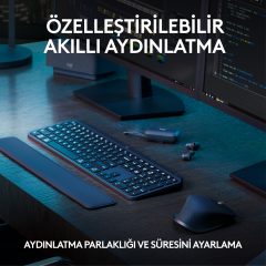 Logitech MX Keys Combo Bilek Destekli Türkçe Klavye ve Mouse Seti 920-011615