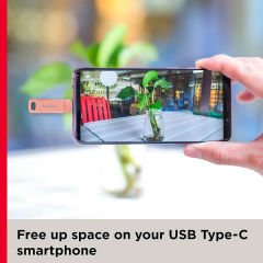 SanDisk Ultra Dual Drive Go 256GB SDDDC3-256G-G46PC USB & Type-C Flash Bellek Amber