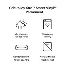 Cricut 2010379 Joy Xtra Smart Vinil Kalici 24x91cm Mat Şampanya