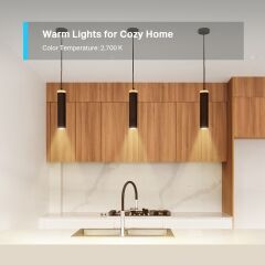 TP-Link Tapo L610 Ayarlanabilir Işık Seviyeli Akıllı Wi-Fi Spot Lamba ( Tekli Paket)