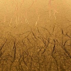 Crıcut 2011833 Premıum Vinil Kalıcı 30X60CM 3 Sayfa Desenli Metalik