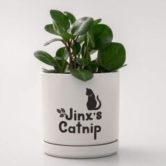 Crıcut 2011833 Premıum Vinil Kalıcı 30X60CM 3 Sayfa Desenli Metalik