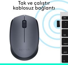 Logitech M170 Kablosuz Mouse 910-004642